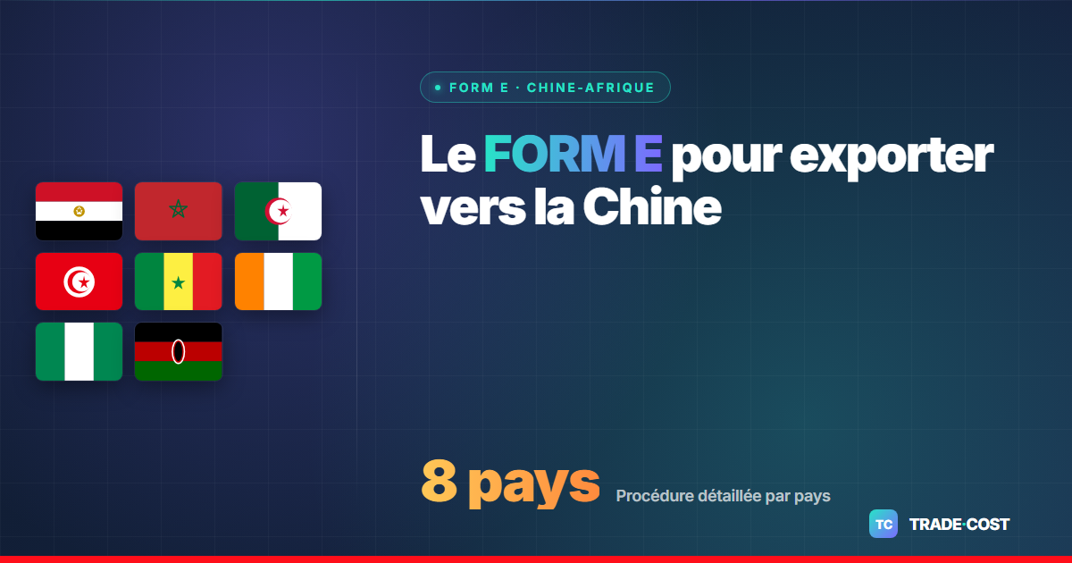 FORM E certificate of origin for export to China: the 2026 procedure for African exporters